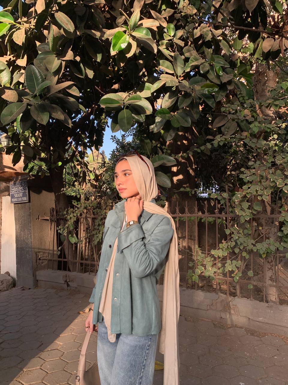 butterfly hoodie